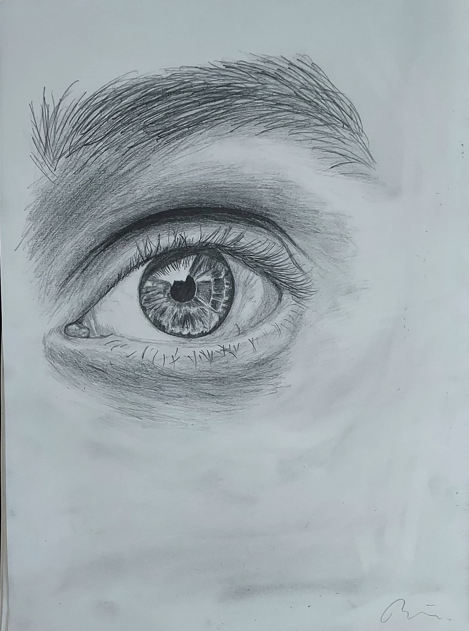 Eye
