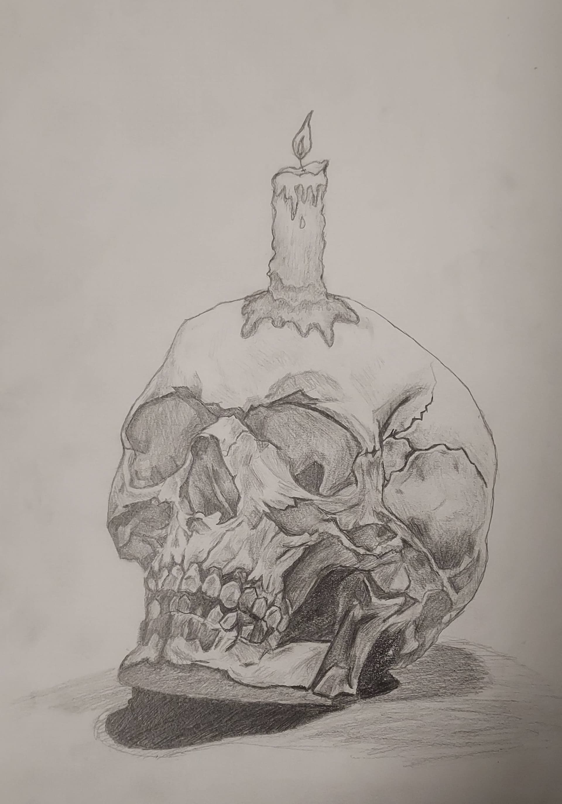 Skull